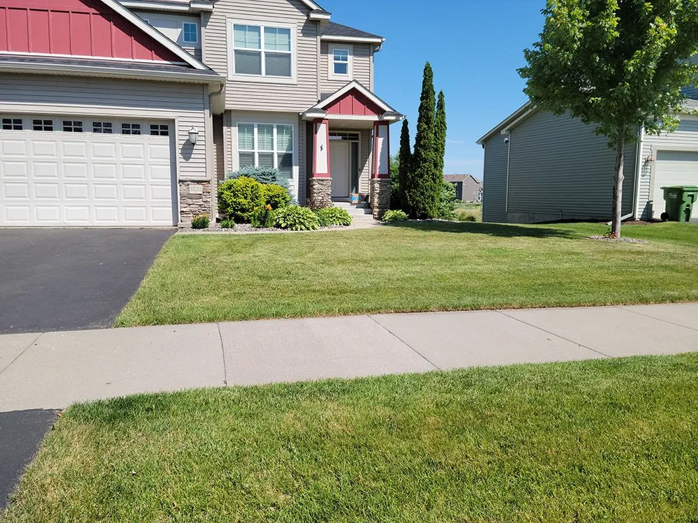 Reliable yard cleanup service near you across Coon Rapids, MN - Ready Pro Lawn