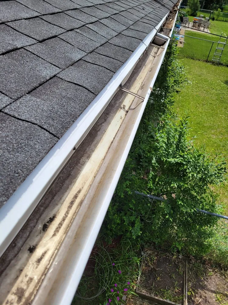 Affordable yard cleanup service for outdoor upgrades across Coon Rapids, MN - Ready Pro Lawn