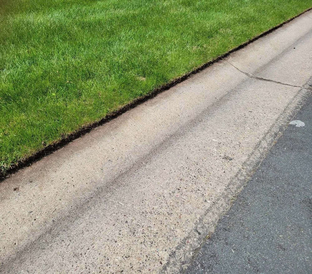 Expert lawn care service for residential properties across Coon Rapids, MN - Ready Pro Lawn