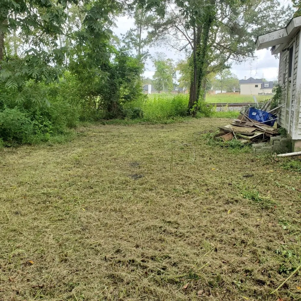 Local yard cleanup service experts serving Savannah, GA - Ready Set Go