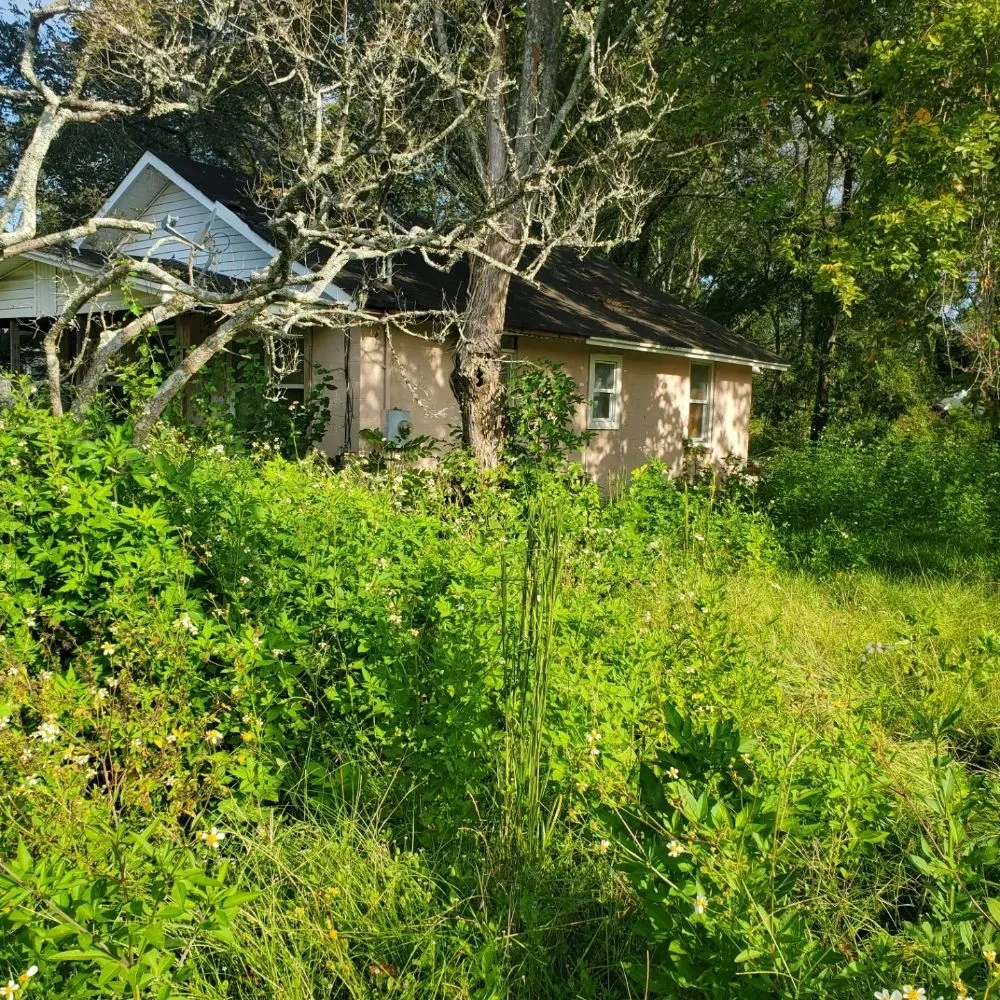 Top-rated lawn care service in Savannah, GA - Ready Set Go