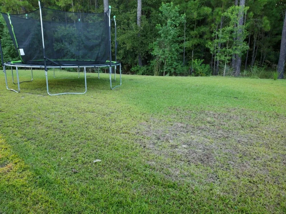 Professional lawn care service experts serving Savannah, GA - Ready Set Go