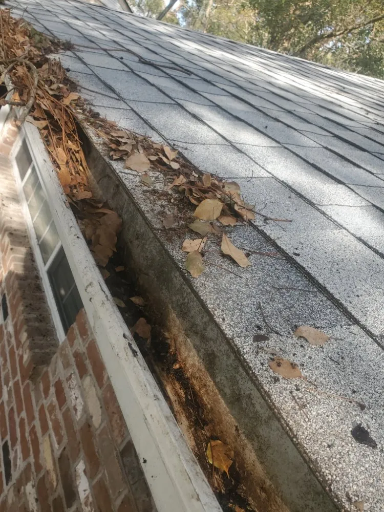 Local residential landscaping for homes in Savannah, GA by Ready Set Go