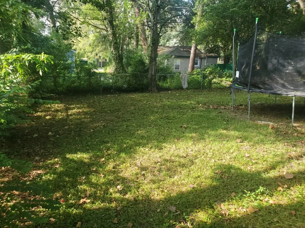 Trusted lawn care service for beautiful yards in Savannah, GA by Ready Set Go