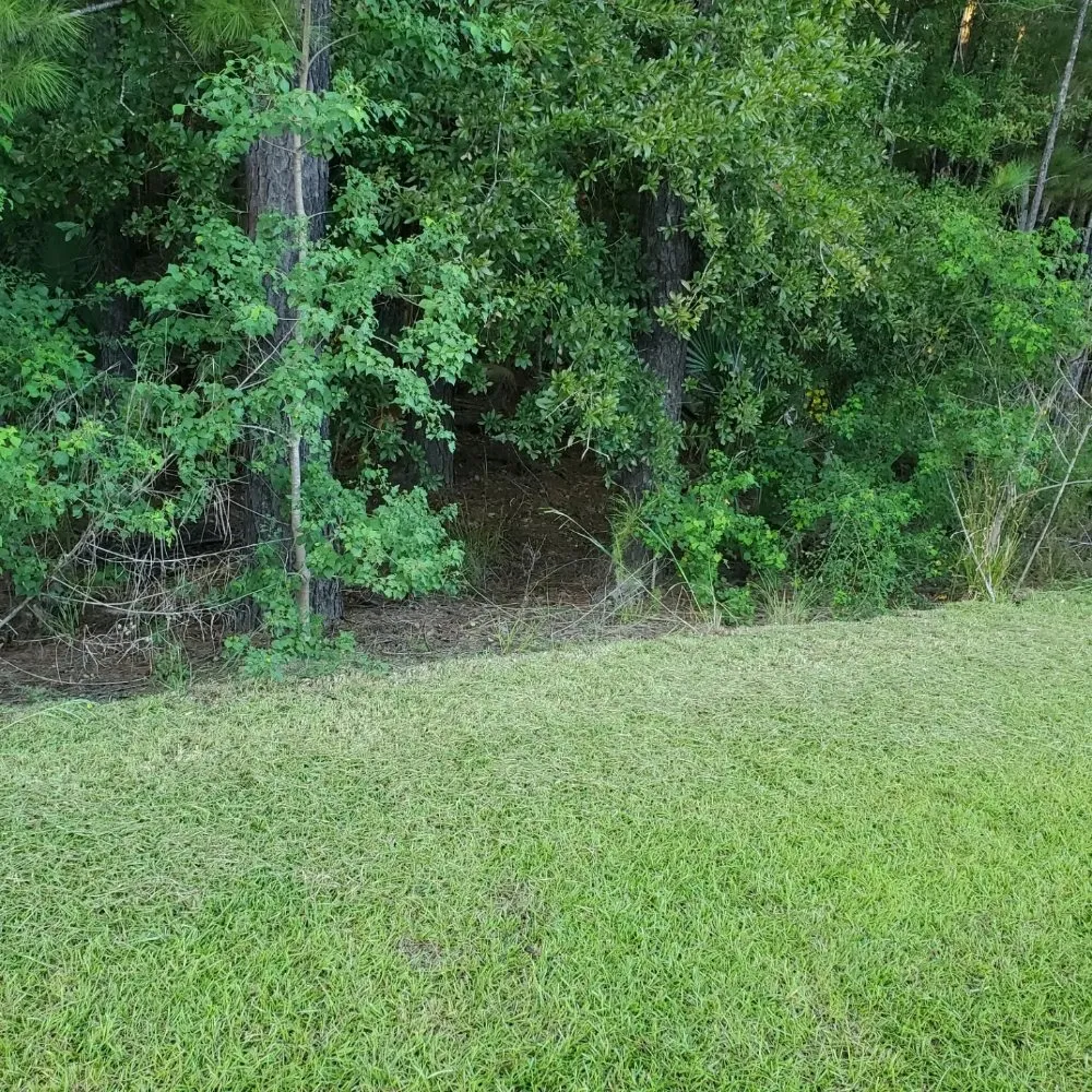 Trusted outdoor landscaping for beautiful yards in Savannah, GA by Ready Set Go