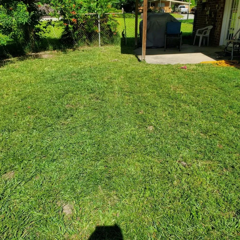 Trusted garden landscaping in Savannah, GA by Ready Set Go