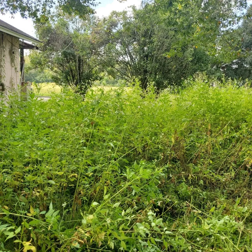 Custom outdoor landscaping near you across Savannah, GA - Ready Set Go