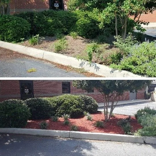 Top-rated garden landscaping in Columbia, SC - Ready Set Mow