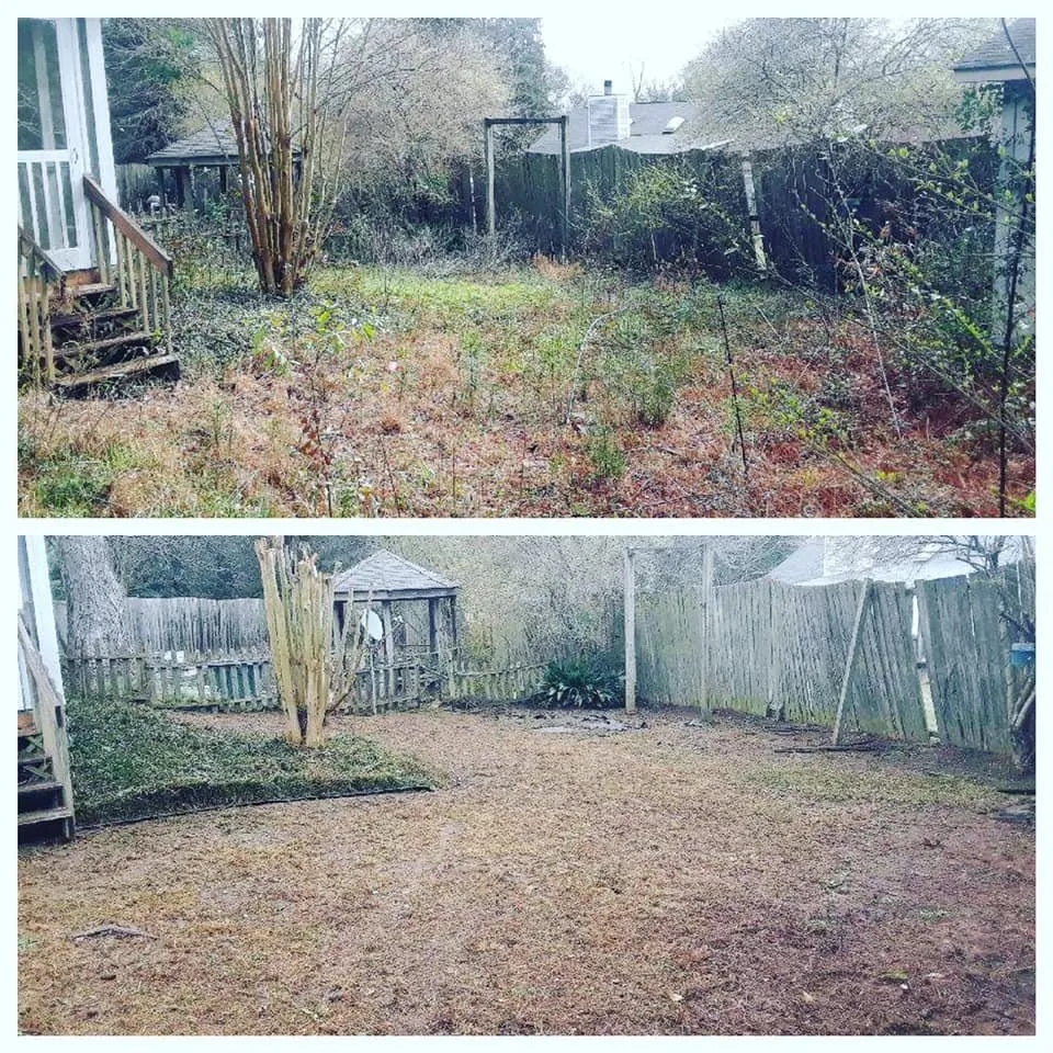 Affordable yard maintenance experts serving Columbia, SC - Ready Set Mow