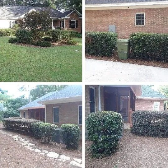 Trusted landscape design for beautiful yards in Columbia, SC by Ready Set Mow