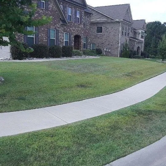 Affordable landscape installation in Columbia, SC by Ready Set Mow