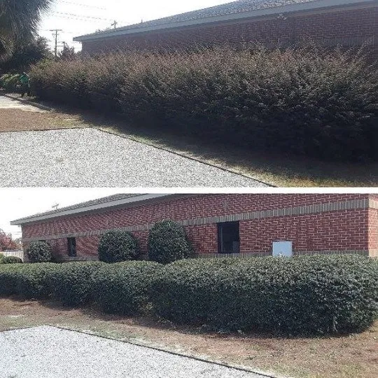 Local lawn care service in Columbia, SC - Ready Set Mow