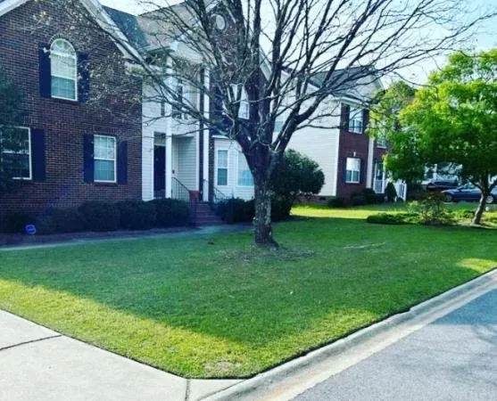 Reliable garden landscaping for outdoor upgrades across Columbia, SC - Ready Set Mow