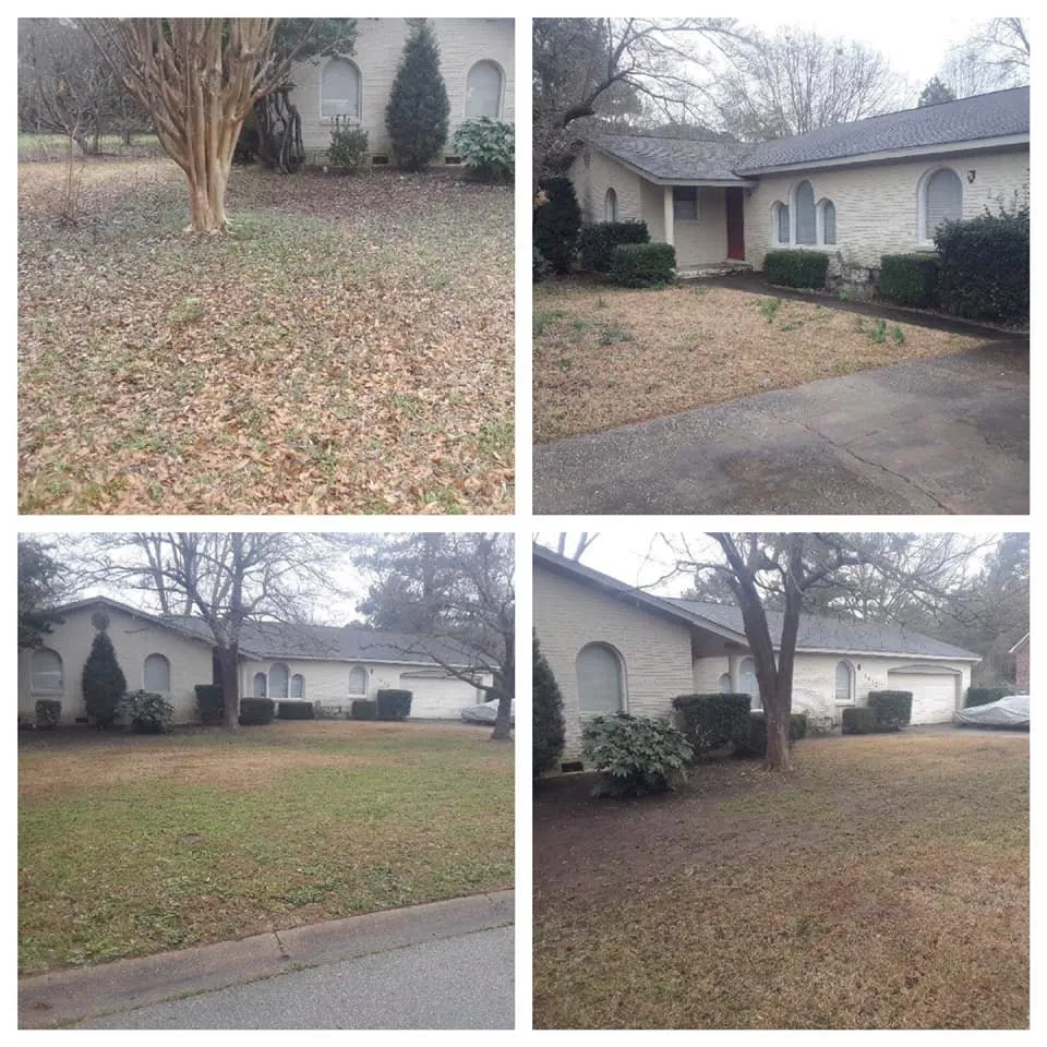 Affordable lawn care service for residential properties in Columbia, SC by Ready Set Mow