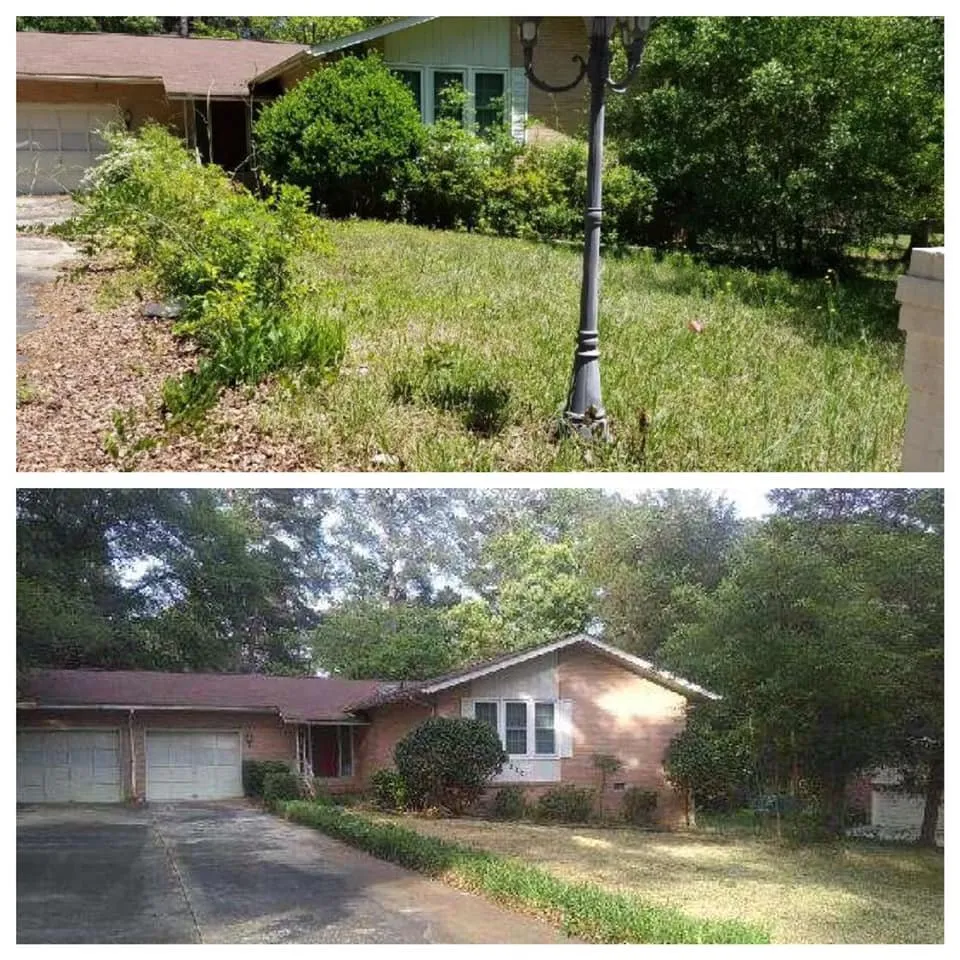 Local yard cleanup service for beautiful yards across Columbia, SC - Ready Set Mow