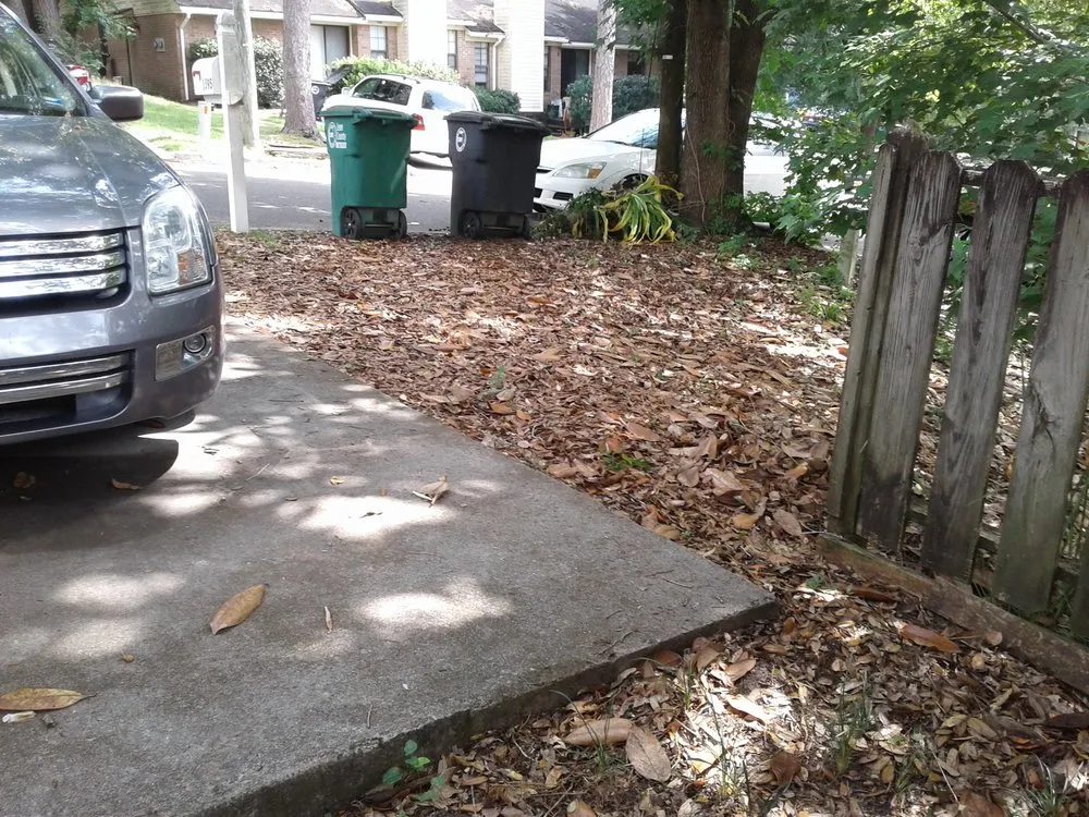Reliable landscape installation with custom design across Tallahassee, FL - Ready Works