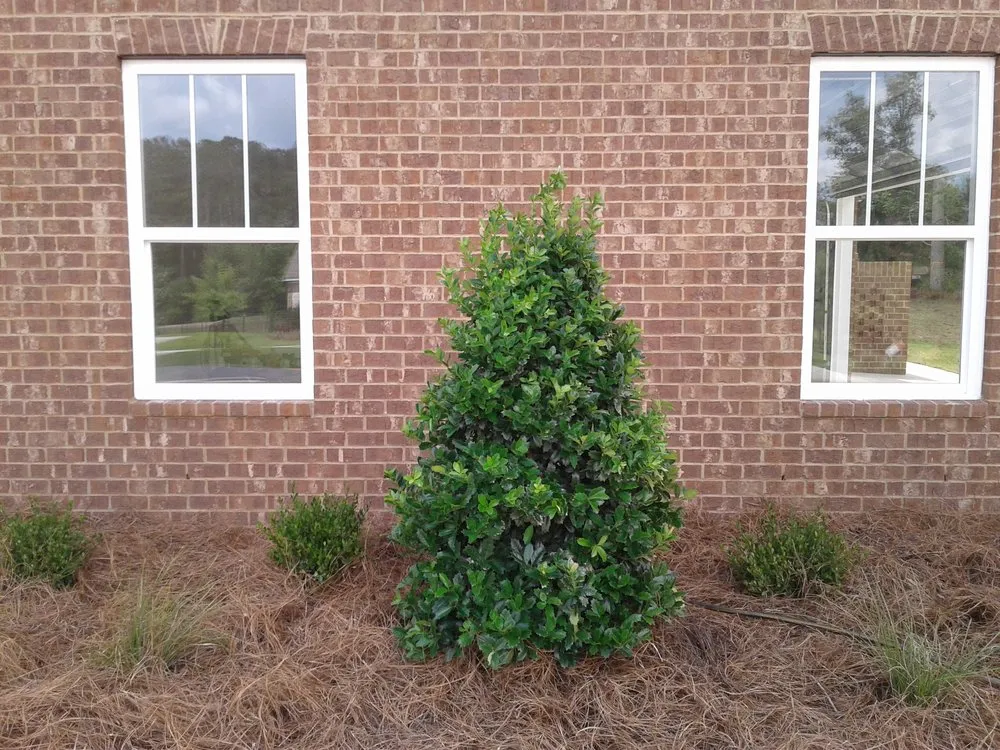 Trusted landscape installation for beautiful yards across Tallahassee, FL - Ready Works