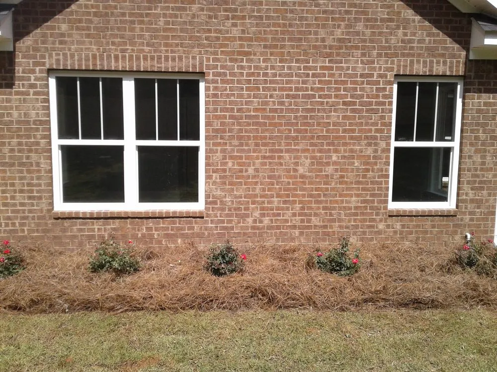 Reliable outdoor landscaping experts serving Tallahassee, FL - Ready Works