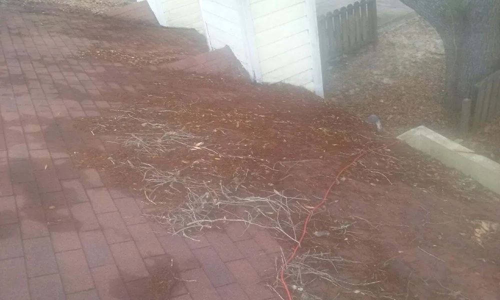 Reliable garden landscaping in Tallahassee, FL - Ready Works