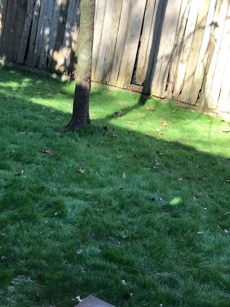 Expert residential landscaping for homes in Montgomery, TX by ReadyGreen HydroSeeding & More