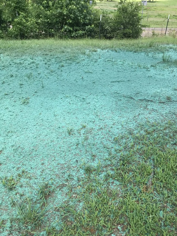 Professional residential landscaping in Montgomery, TX by ReadyGreen HydroSeeding & More