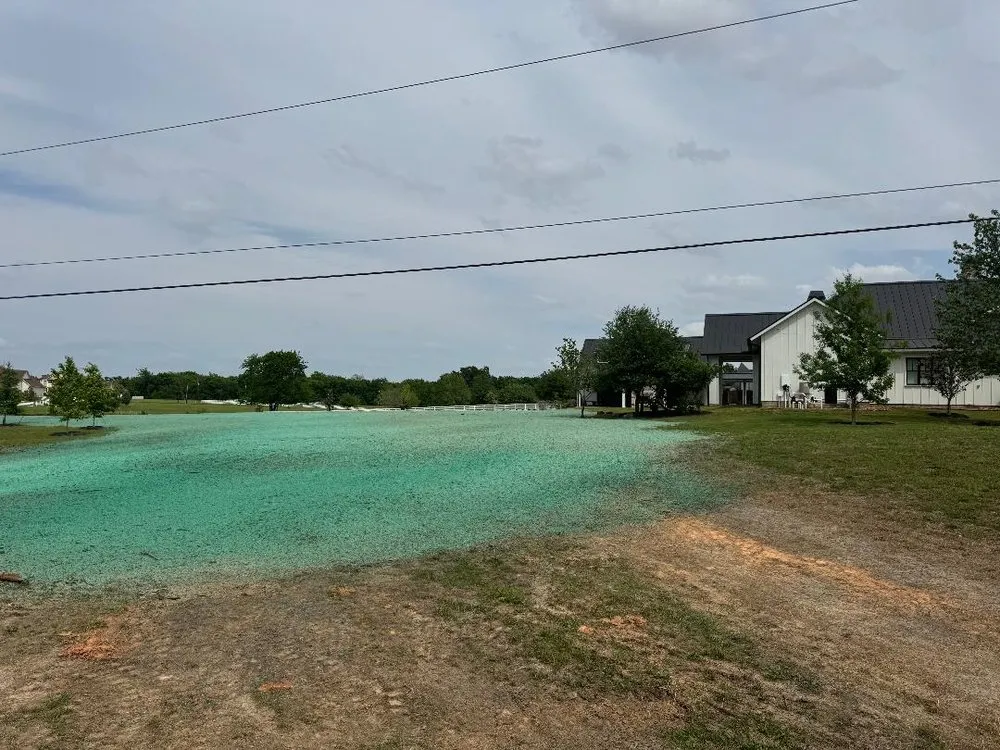 Top-rated yard cleanup service for year-round maintenance across Montgomery, TX - ReadyGreen HydroSeeding & More