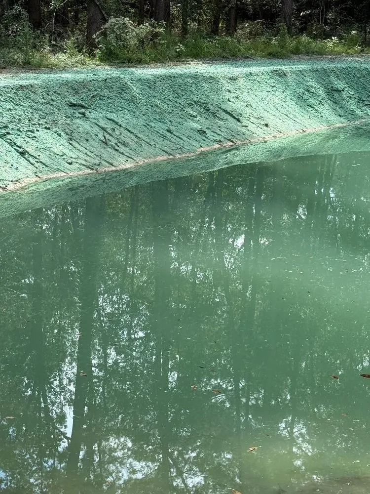 Top-rated garden landscaping experts serving Montgomery, TX - ReadyGreen HydroSeeding & More