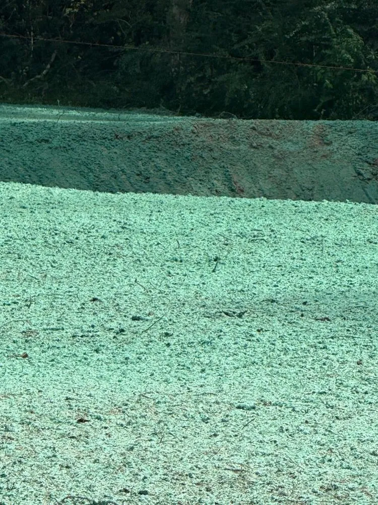 Local yard cleanup service experts serving Montgomery, TX - ReadyGreen HydroSeeding & More