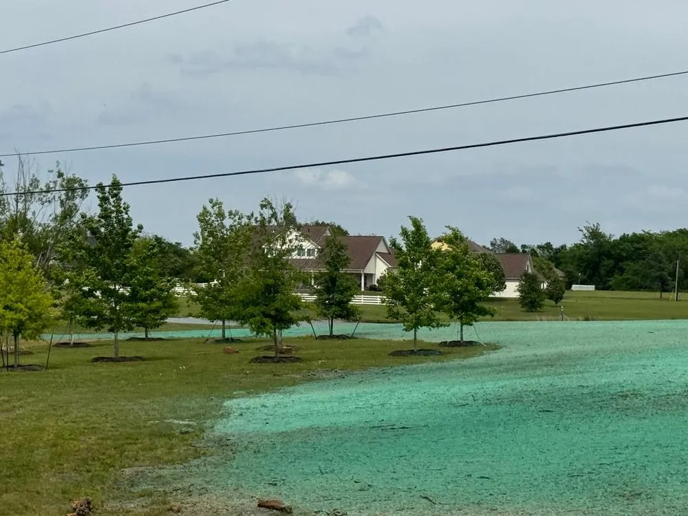 Reliable lawn mowing service in Montgomery, TX - ReadyGreen HydroSeeding & More