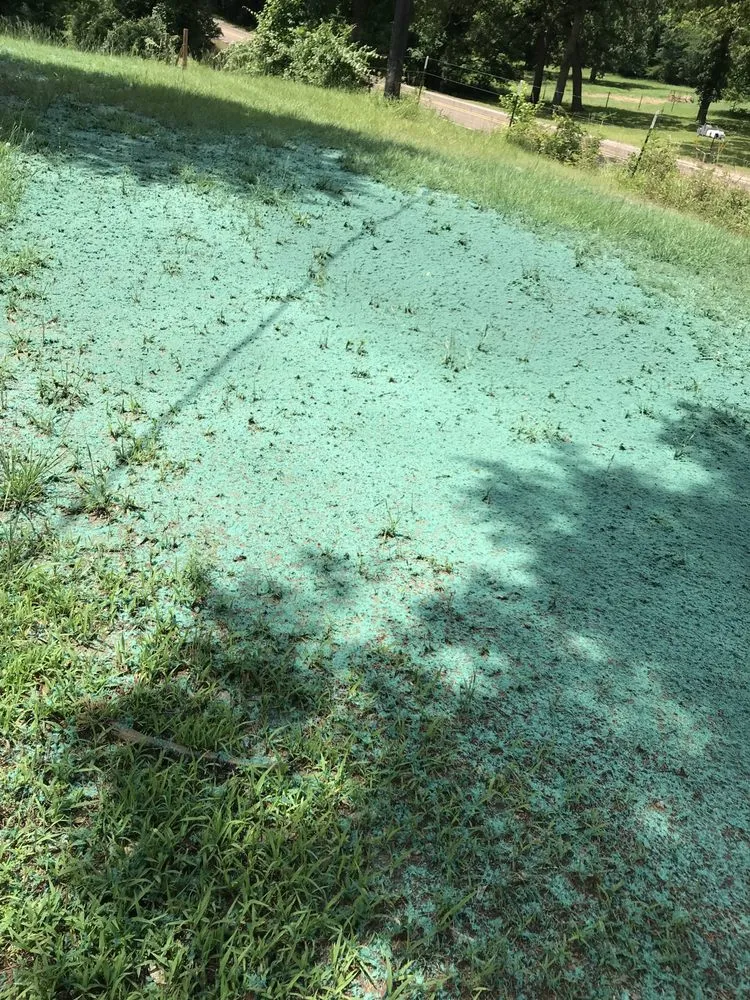 Expert residential landscaping for homes across Montgomery, TX - ReadyGreen HydroSeeding & More