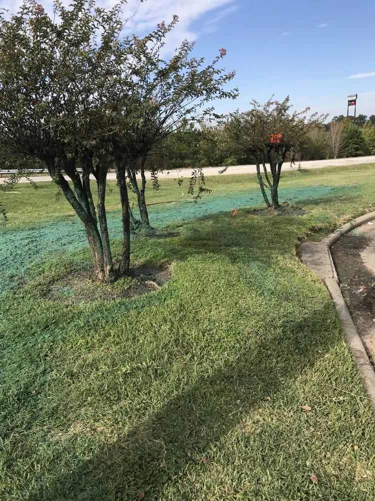 Professional yard cleanup service experts serving Montgomery, TX - ReadyGreen HydroSeeding & More