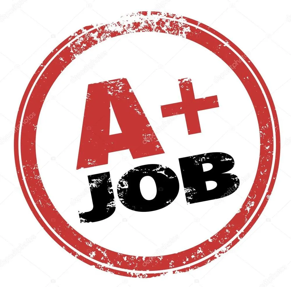 Expert yard maintenance in Spring Hill, FL by Readymen OutDoor Services