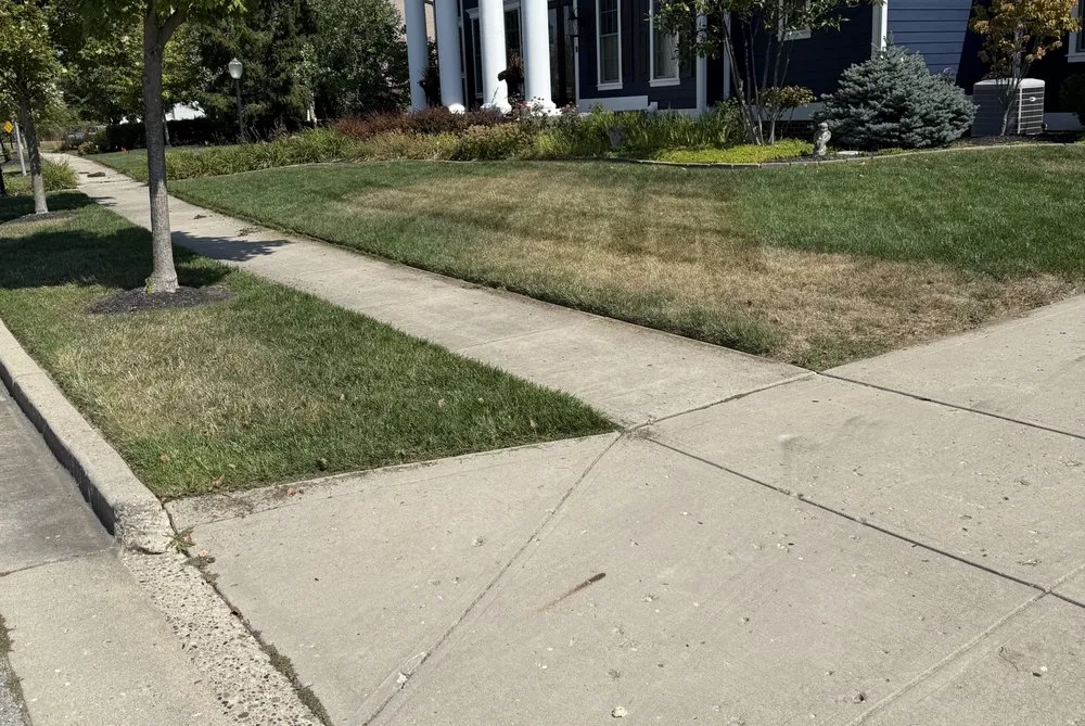 Custom lawn mowing service in Whitestown, IN - Reagle Lawn Care