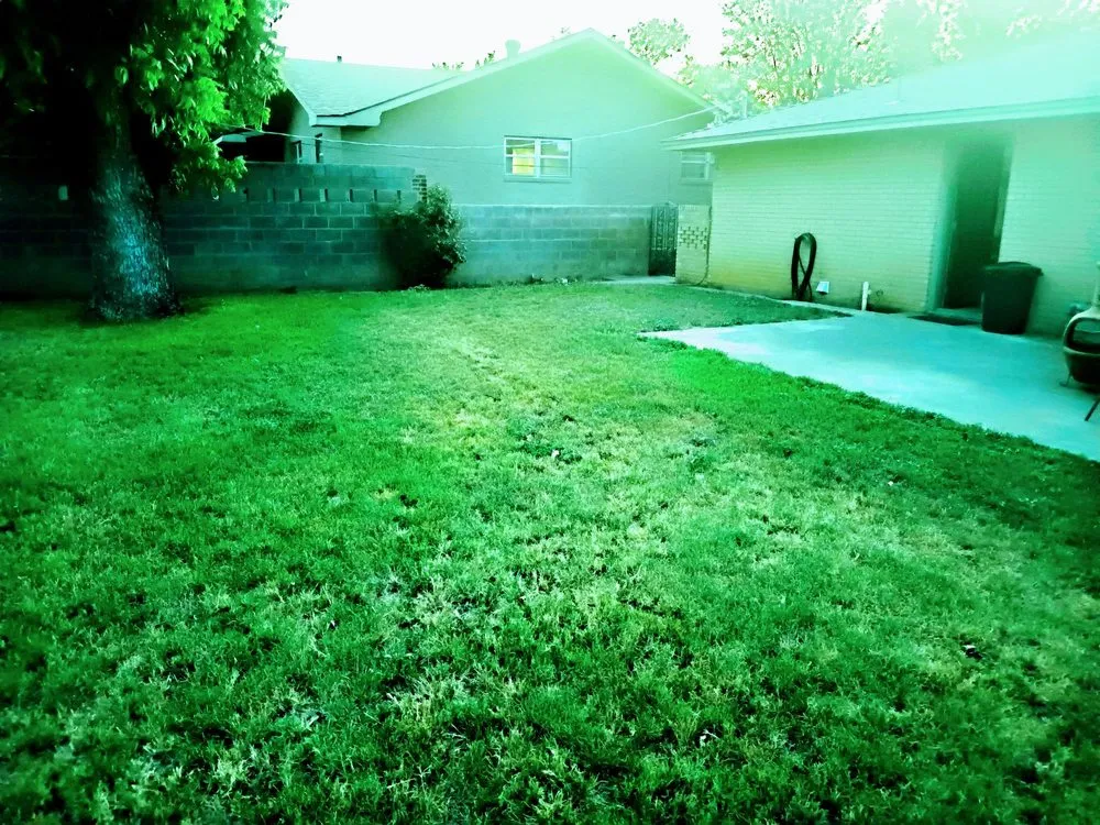 Reliable yard cleanup service for year-round maintenance across Sweetwater, TX - Real Deal Curb Appeal
