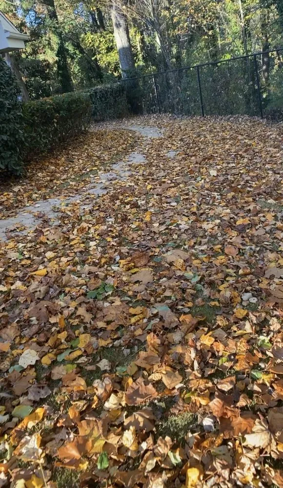 Affordable landscape installation for year-round maintenance across Atlanta, GA - Real Deal Landscaping