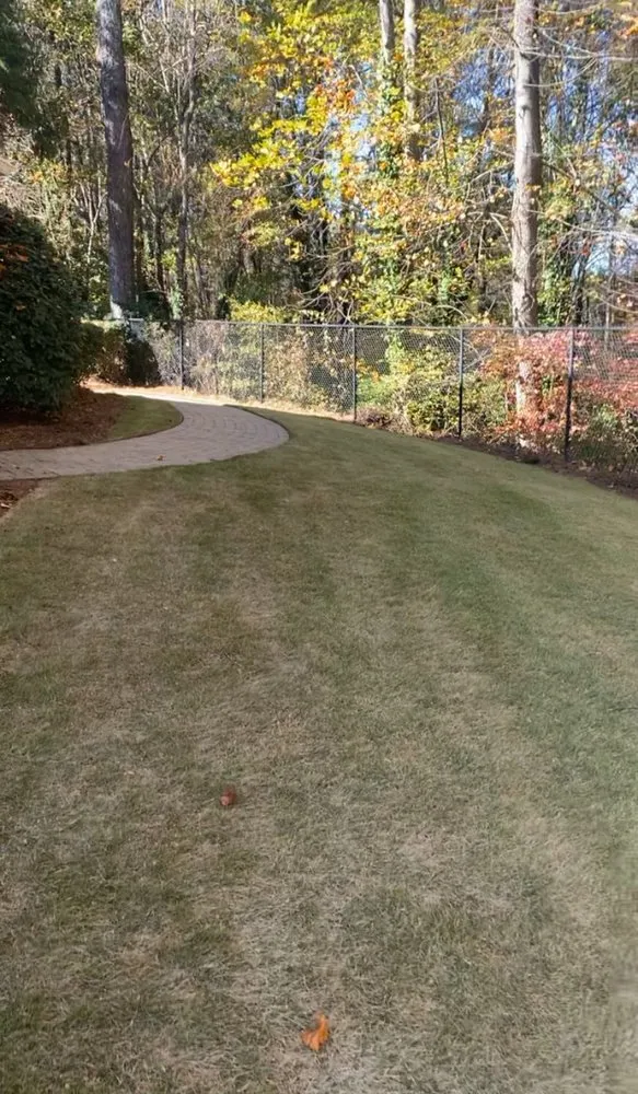 Trusted yard cleanup service near you in Atlanta, GA by Real Deal Landscaping