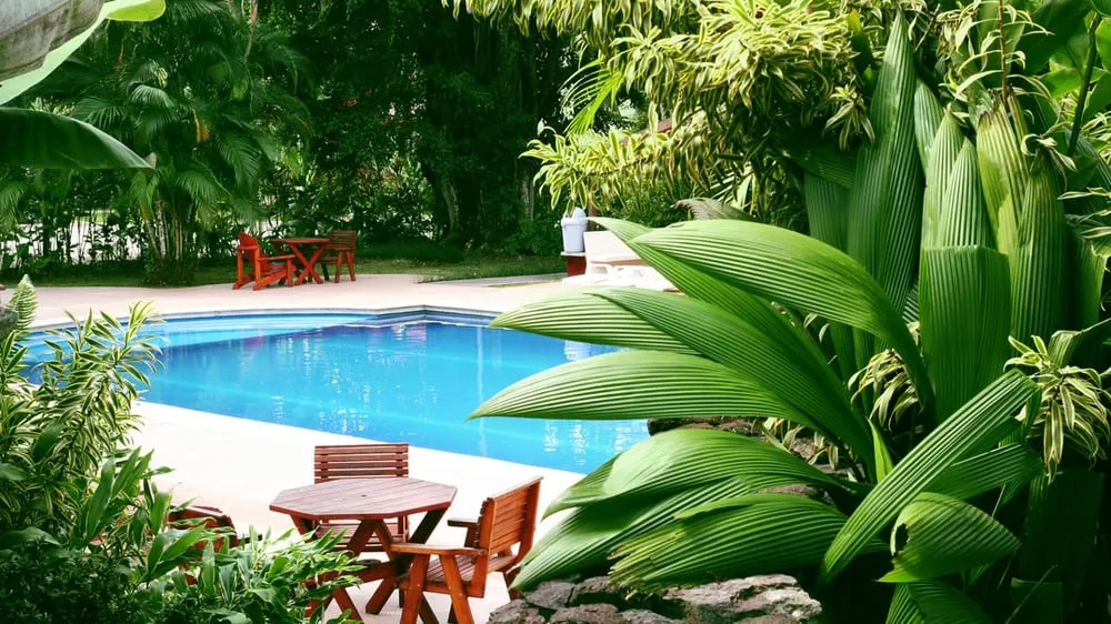 Top-rated garden landscaping experts serving Cold Brook, NY - Real Deal Landscaping