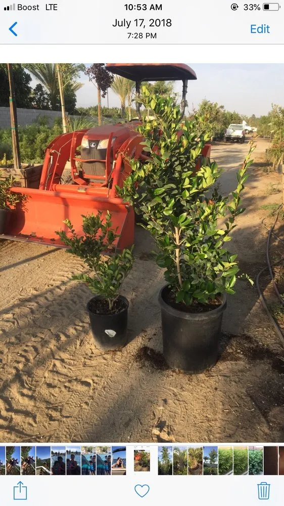 Trusted outdoor landscaping for year-round maintenance in Hesperia, CA by Real Deal Landscaping
