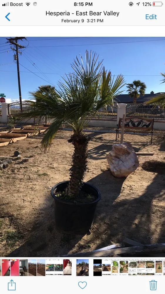 Reliable lawn care service in Hesperia, CA by Real Deal Landscaping