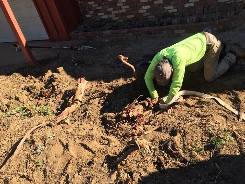 Custom landscaping services in Hesperia, CA - Real Deal Landscaping