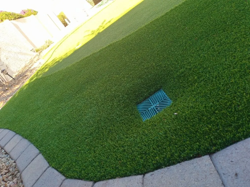 Reliable yard maintenance for homes in Phoenix, AZ by Real Deal Landscaping