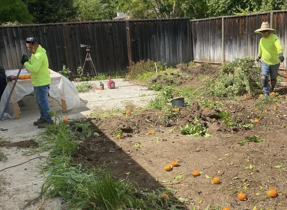 Top-rated lawn care service experts serving Phoenix, AZ - Real Deal Landscaping