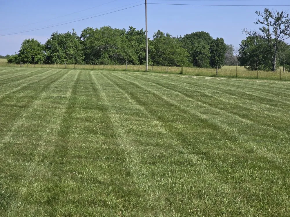Professional yard cleanup service for year-round maintenance across Shawnee, KS - Real Deal Lawn & Landscape