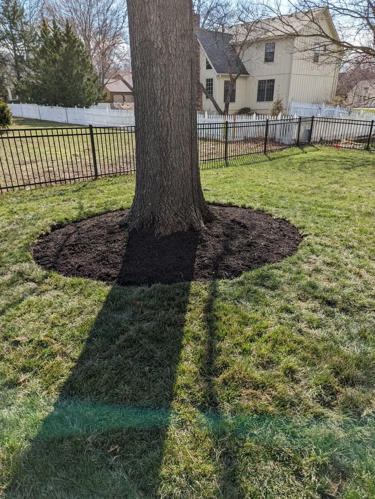 Custom lawn mowing service for beautiful yards in Shawnee, KS by Real Deal Lawn & Landscape