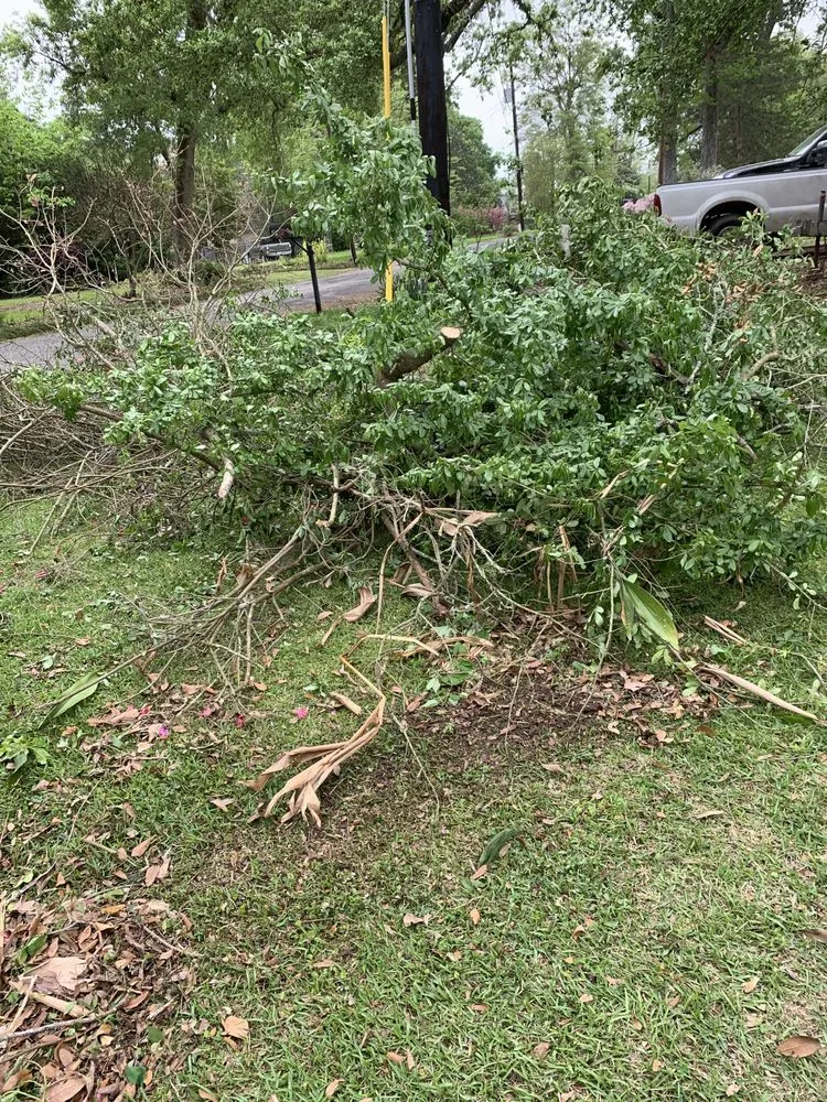 Reliable outdoor landscaping for homes in Youngsville, LA by Real Deal Lawn Service