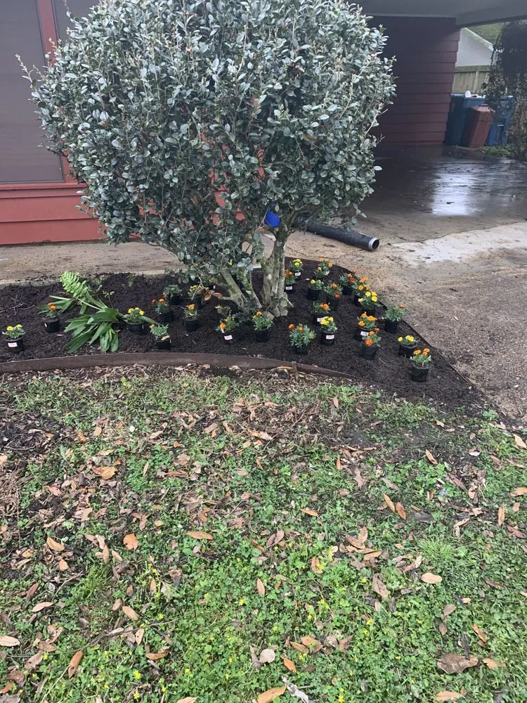 Affordable lawn mowing service experts serving Youngsville, LA - Real Deal Lawn Service