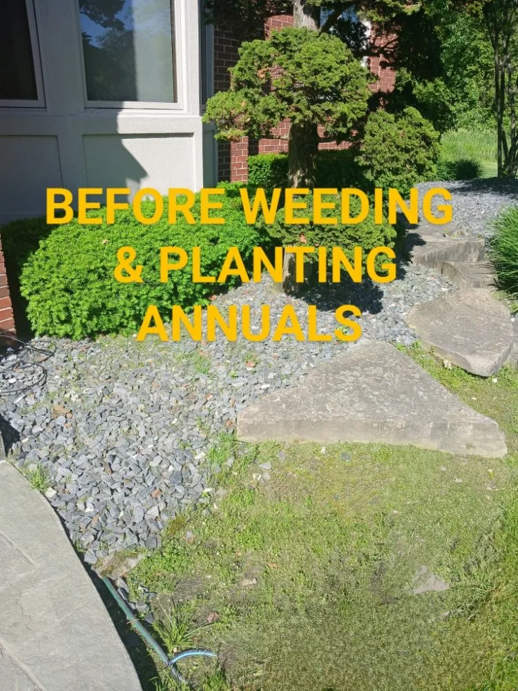 Top-rated landscape design in Clinton Township, MI by Real Diehl Landscaping