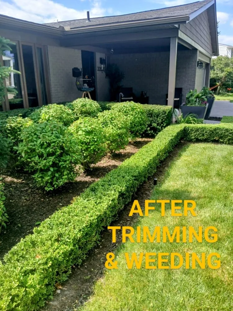 Custom landscaping services for outdoor upgrades in Clinton Township, MI by Real Diehl Landscaping