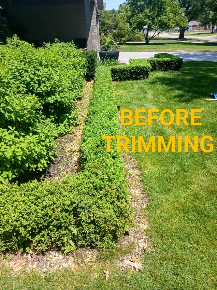 Affordable landscape design for year-round maintenance in Clinton Township, MI by Real Diehl Landscaping
