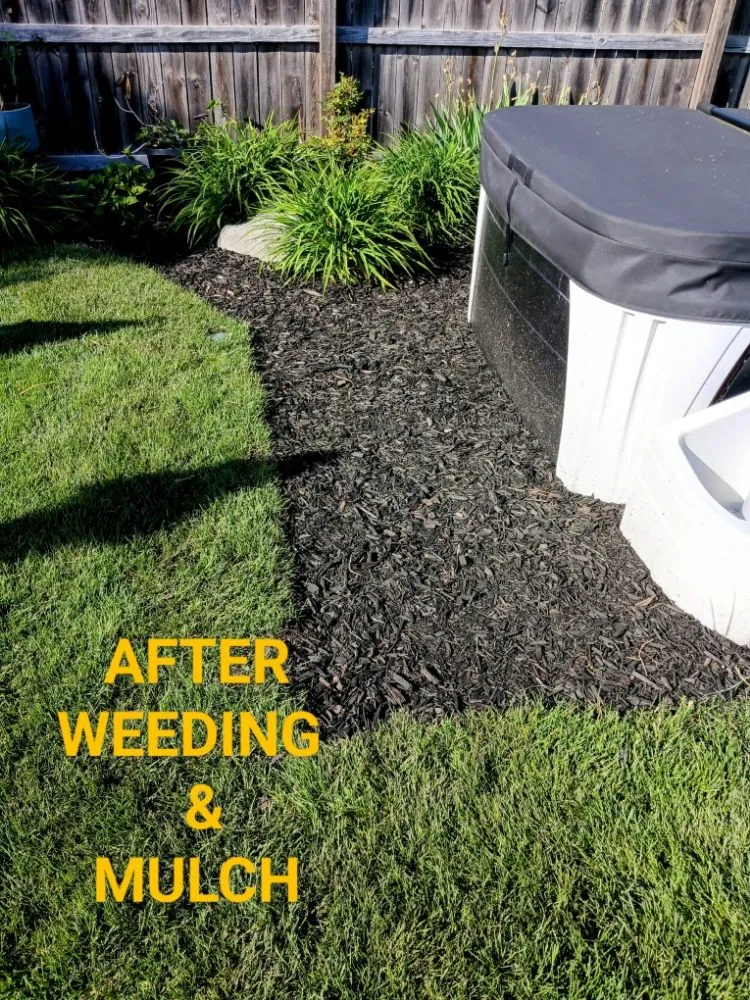 Top-rated residential landscaping experts serving Clinton Township, MI - Real Diehl Landscaping